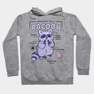 Awesome Raccoon Explanation Anatomy Of A Raccoon Hoodie